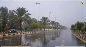 تحذير عاجل ورسمي من الأرصاد لسكان نجران.. رياح شديدة وبرد مفاجئ يضرب المنطقة.. إليك ما يجب أن تفعله فورًا 2